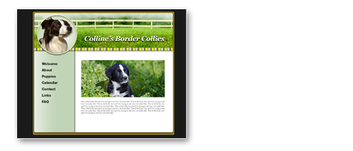 Custom breeder Website